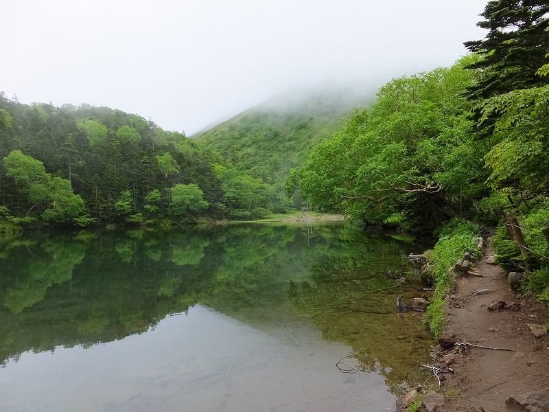 f:id:goniyoyo:20150710095023j:image f:id:goniyoyo:20150710095023j:image