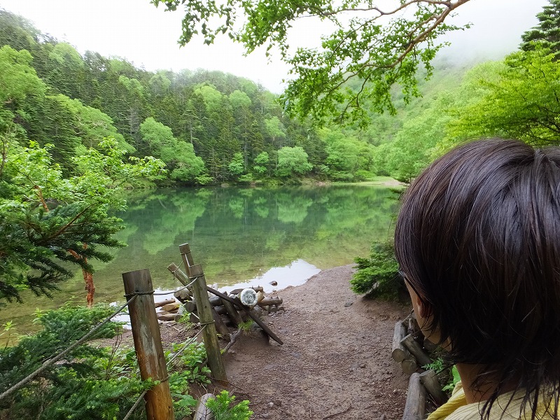 f:id:goniyoyo:20150710095024j:image f:id:goniyoyo:20150710095024j:image