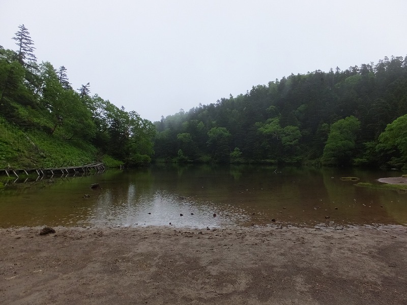 f:id:goniyoyo:20150710095206j:image f:id:goniyoyo:20150710095206j:image