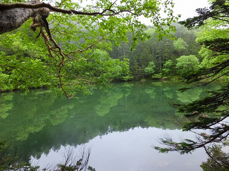 f:id:goniyoyo:20150710095215j:image f:id:goniyoyo:20150710095215j:image