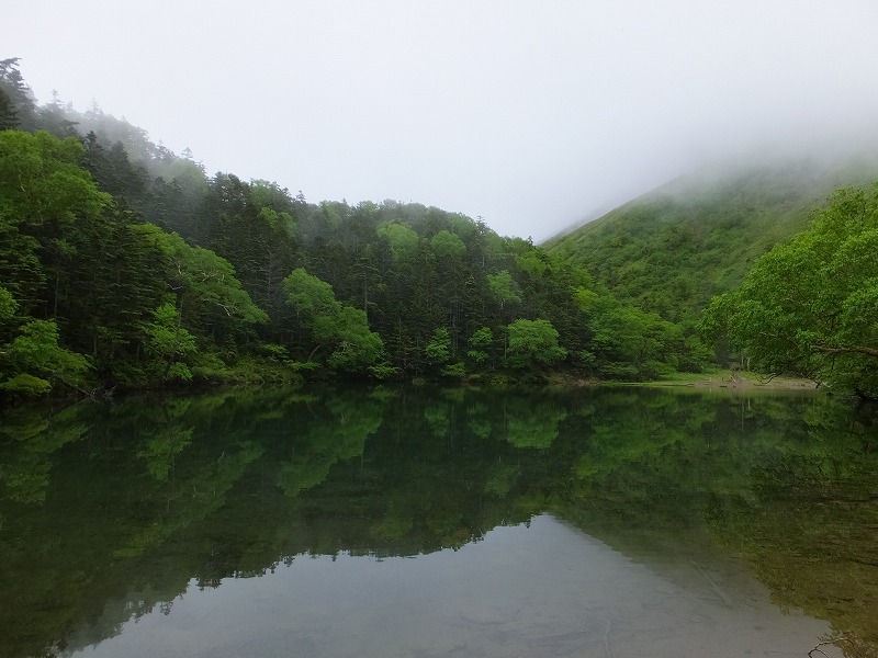 f:id:goniyoyo:20150710095216j:image f:id:goniyoyo:20150710095216j:image