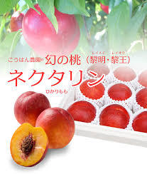 f:id:gonmoku:20200627185022j:plain