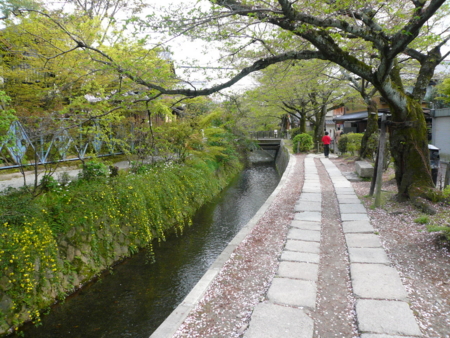 20100418151927