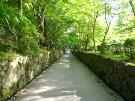 20100503163202