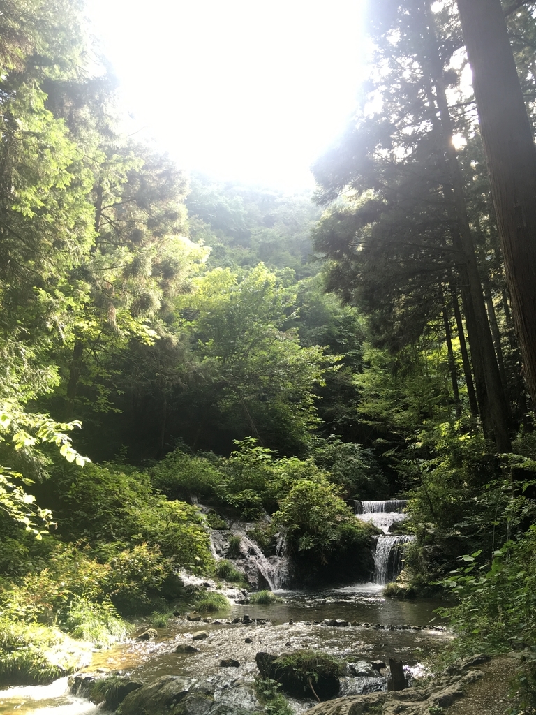 f:id:gonna_dance:20180918113807j:plain f:id:gonna_dance:20180918113807j:plain