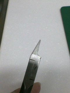 イメージ 7