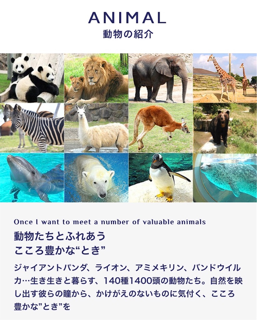 f:id:gontab:20211104202008j:image f:id:gontab:20211104202008j:image