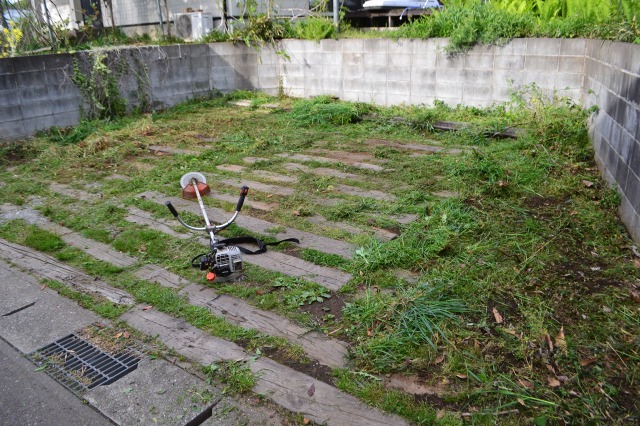 f:id:gontanomakiwari:20190429184445j:plain f:id:gontanomakiwari:20190429184445j:plain