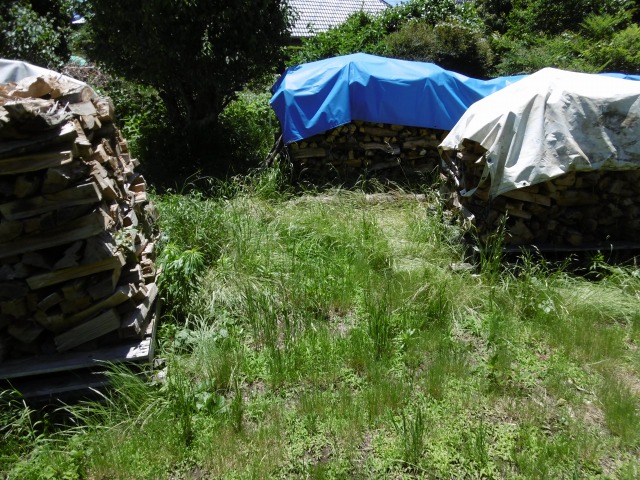 f:id:gontanomakiwari:20190616173313j:plain