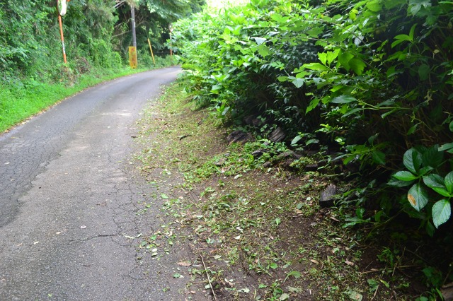 f:id:gontanomakiwari:20190724201225j:plain f:id:gontanomakiwari:20190724201225j:plain