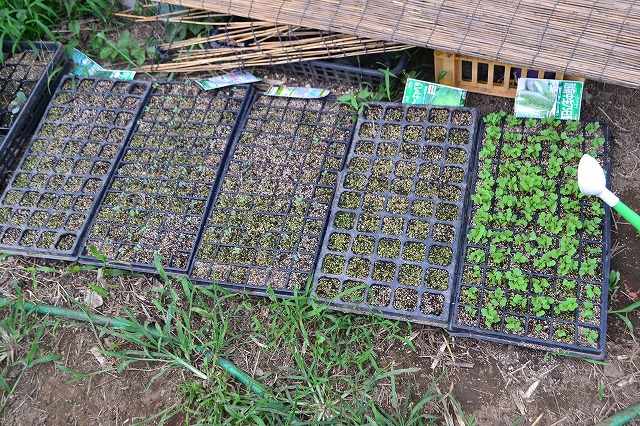 f:id:gontanomakiwari:20190827175100j:plain f:id:gontanomakiwari:20190827175100j:plain