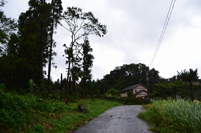f:id:gontanomakiwari:20190914172832j:plain f:id:gontanomakiwari:20190914172832j:plain