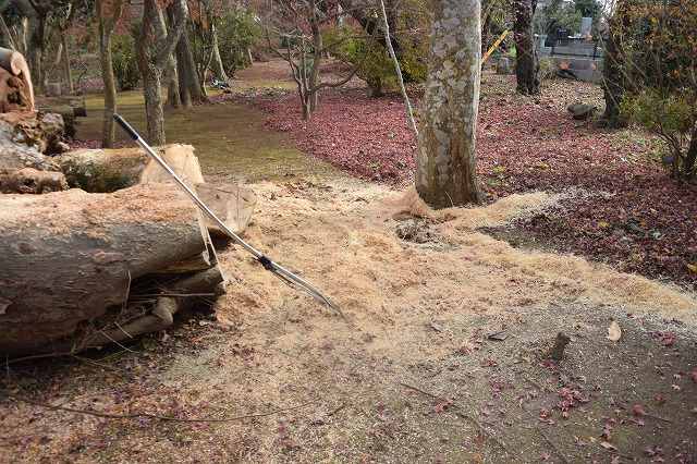 f:id:gontanomakiwari:20201219172649j:plain
