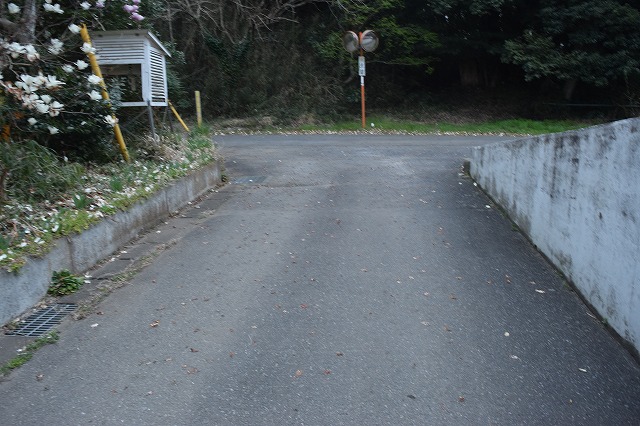 f:id:gontanomakiwari:20210321145414j:plain