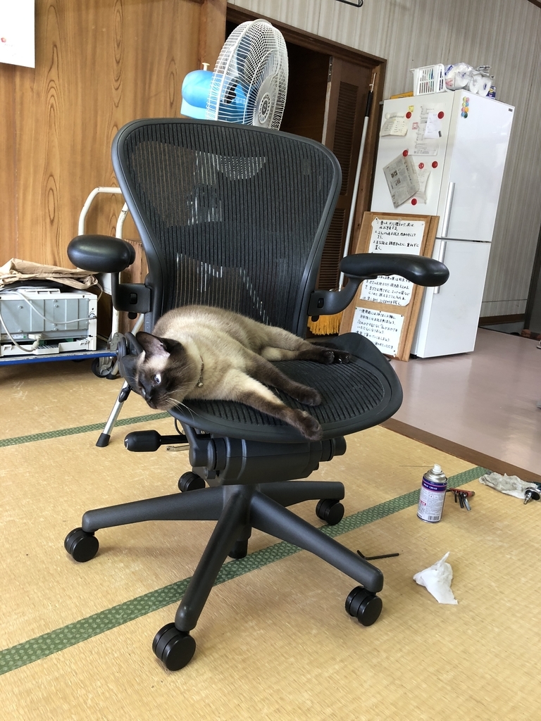 ハーマンミラー（取りに来れる方のみ） 修理できる方、部品取りされる方にお買い得です。‼️ハーマンミラー