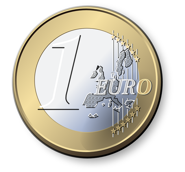 one euro