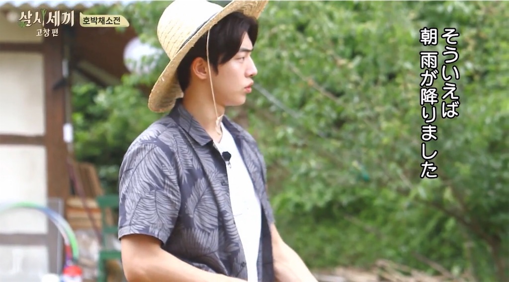 f:id:goodbyeol:20200826141731j:image f:id:goodbyeol:20200826141731j:image