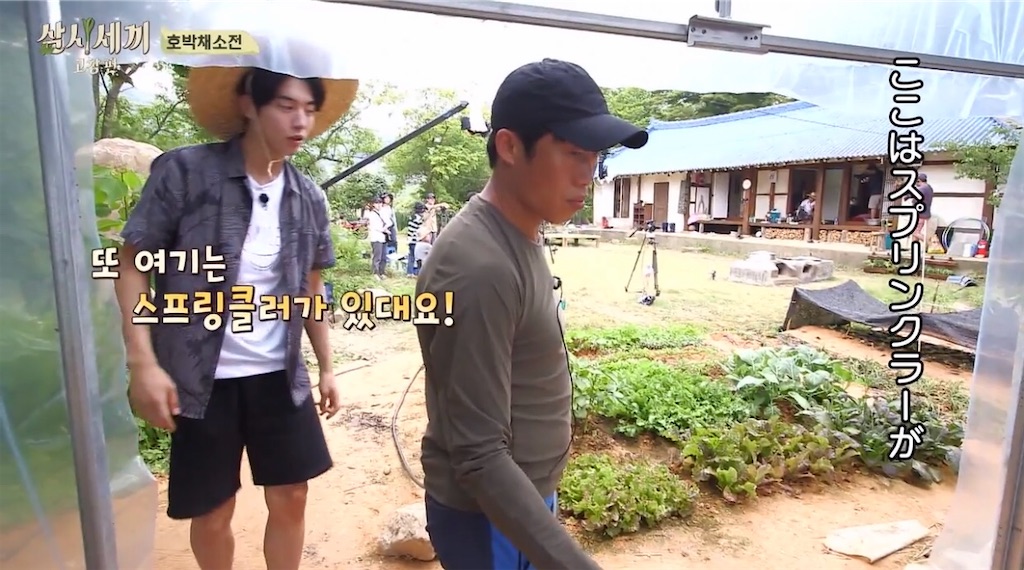 f:id:goodbyeol:20200826141823j:image f:id:goodbyeol:20200826141823j:image
