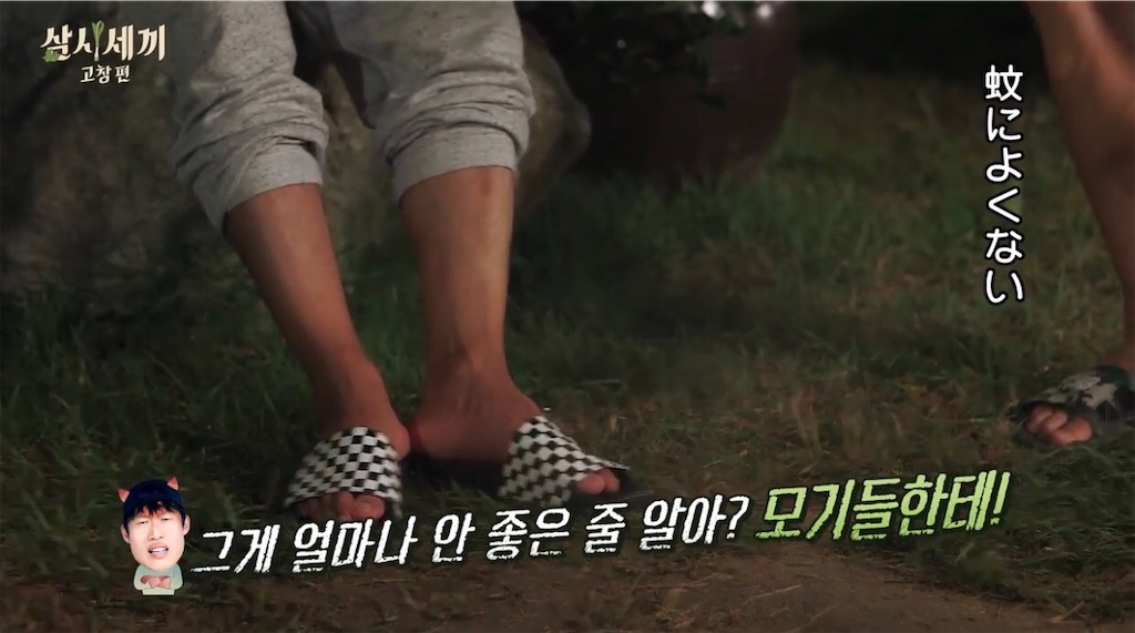 f:id:goodbyeol:20200826141915j:image f:id:goodbyeol:20200826141915j:image