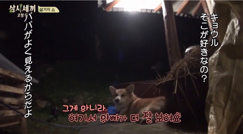 f:id:goodbyeol:20200907201059j:image