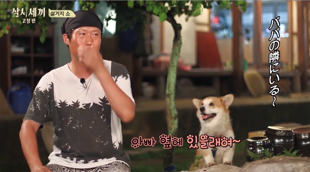 f:id:goodbyeol:20200907202143j:image