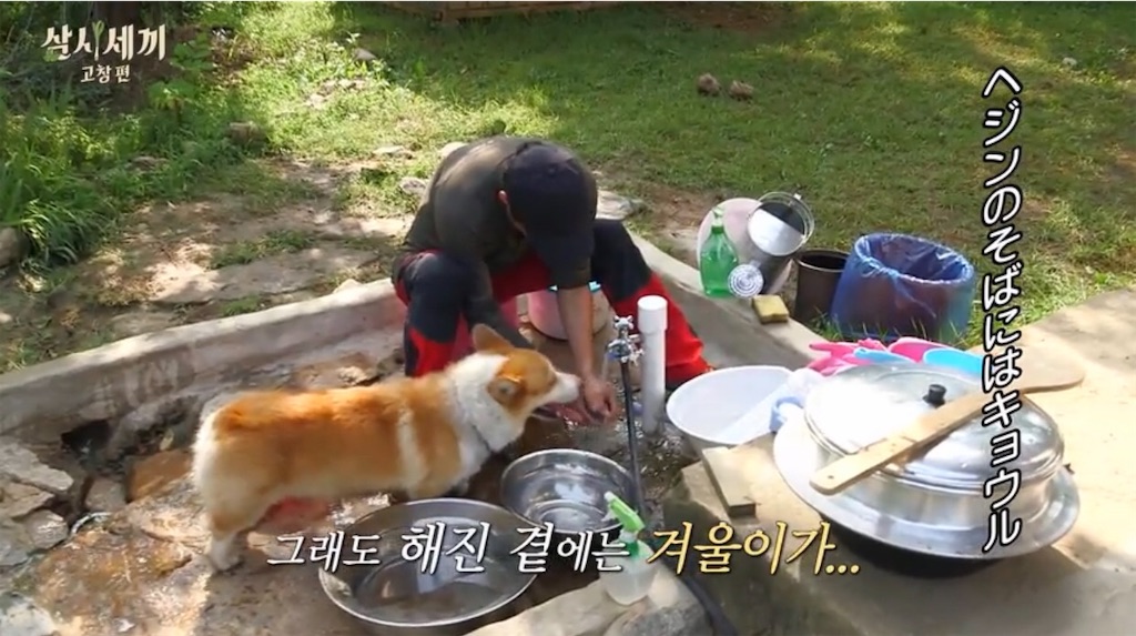 f:id:goodbyeol:20200907202157j:image