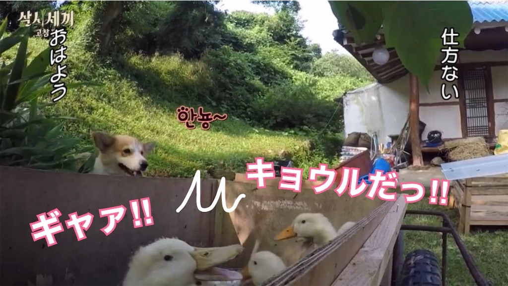 f:id:goodbyeol:20200907202746j:image