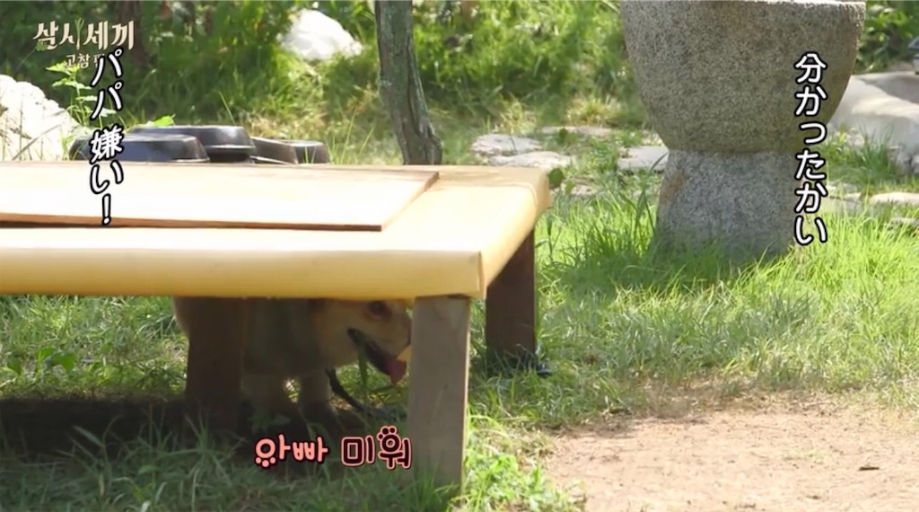 f:id:goodbyeol:20200907202930j:image
