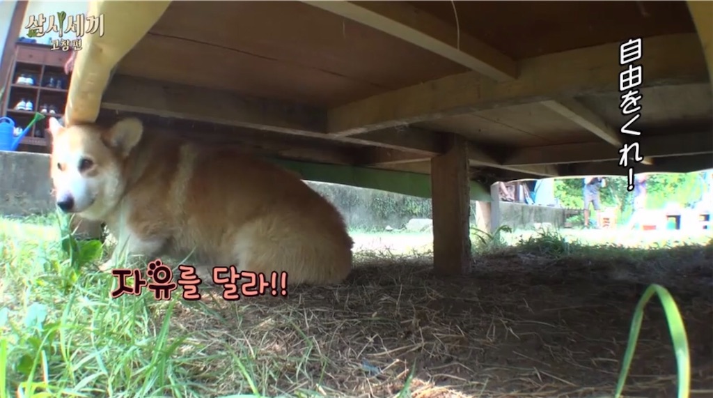 f:id:goodbyeol:20200907202940j:image