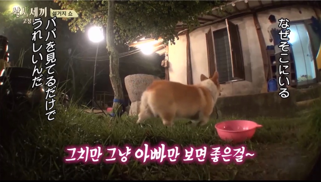 f:id:goodbyeol:20200907203137j:image