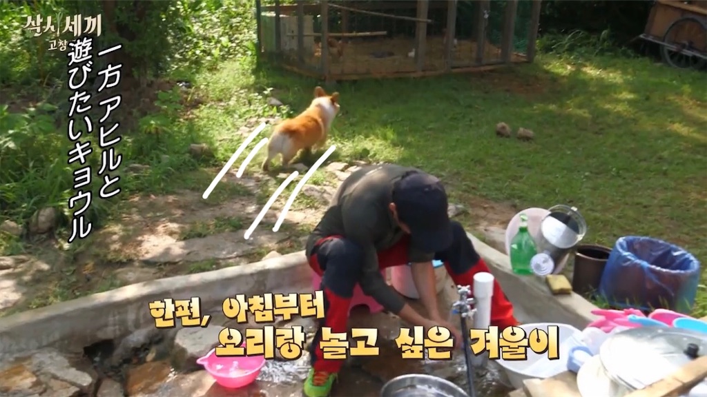 f:id:goodbyeol:20200907204623j:image