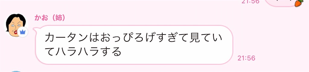 f:id:goodbyeol:20201224131904j:image