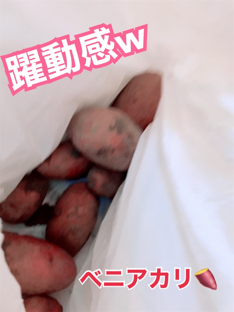 f:id:goodbyeol:20210702102624j:image