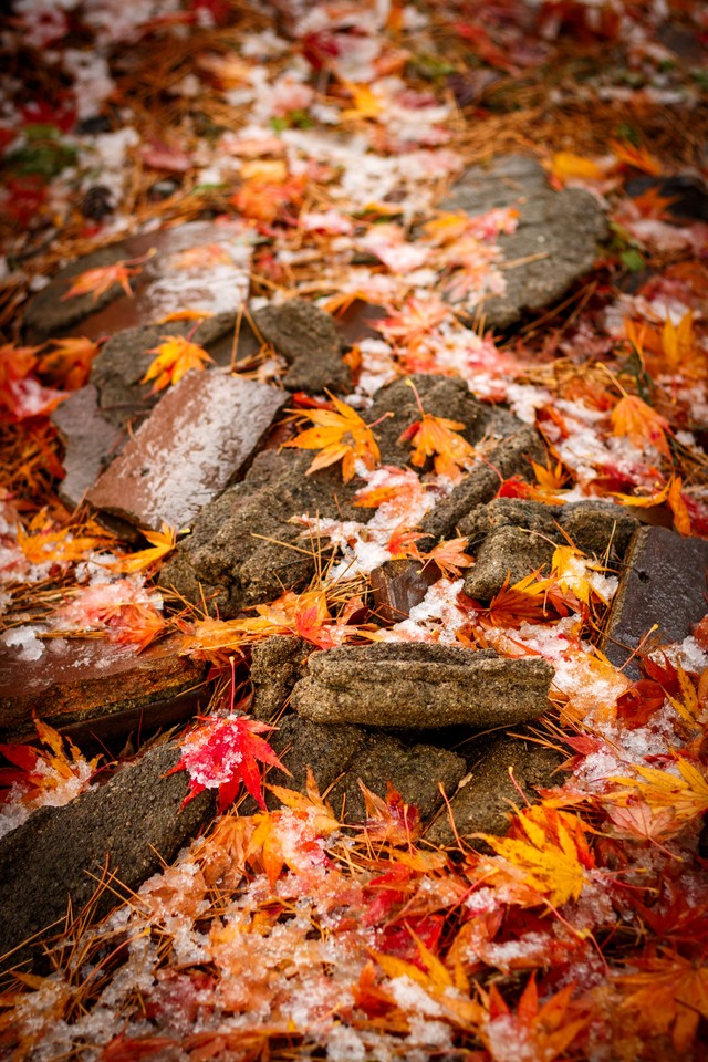 f:id:gooddaymate0719:20181012214303j:plain f:id:gooddaymate0719:20181012214303j:plain