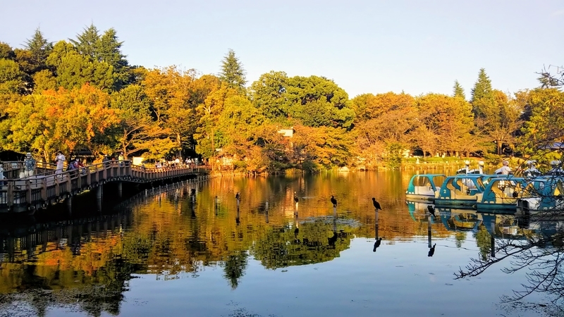 f:id:gooddays-shumai:20211010002811j:plain