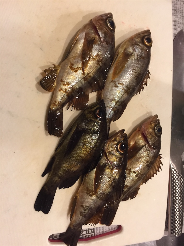 f:id:goodfishing:20190224121036j:image