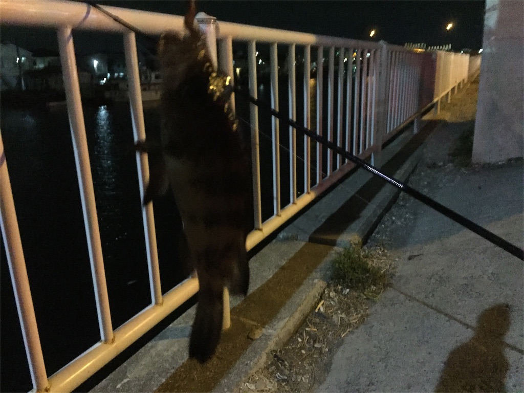 f:id:goodfishing:20190224223738j:image