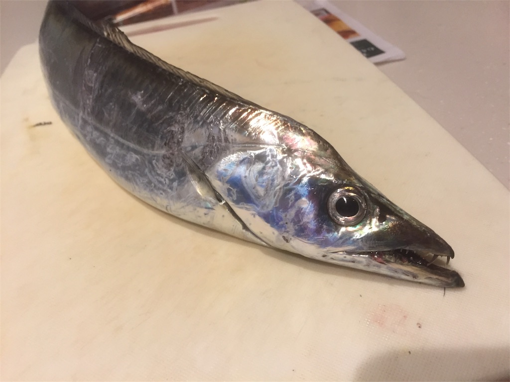 f:id:goodfishing:20190324001347j:image