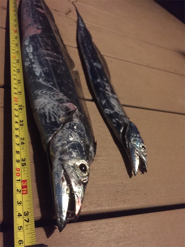 f:id:goodfishing:20190402220057j:image