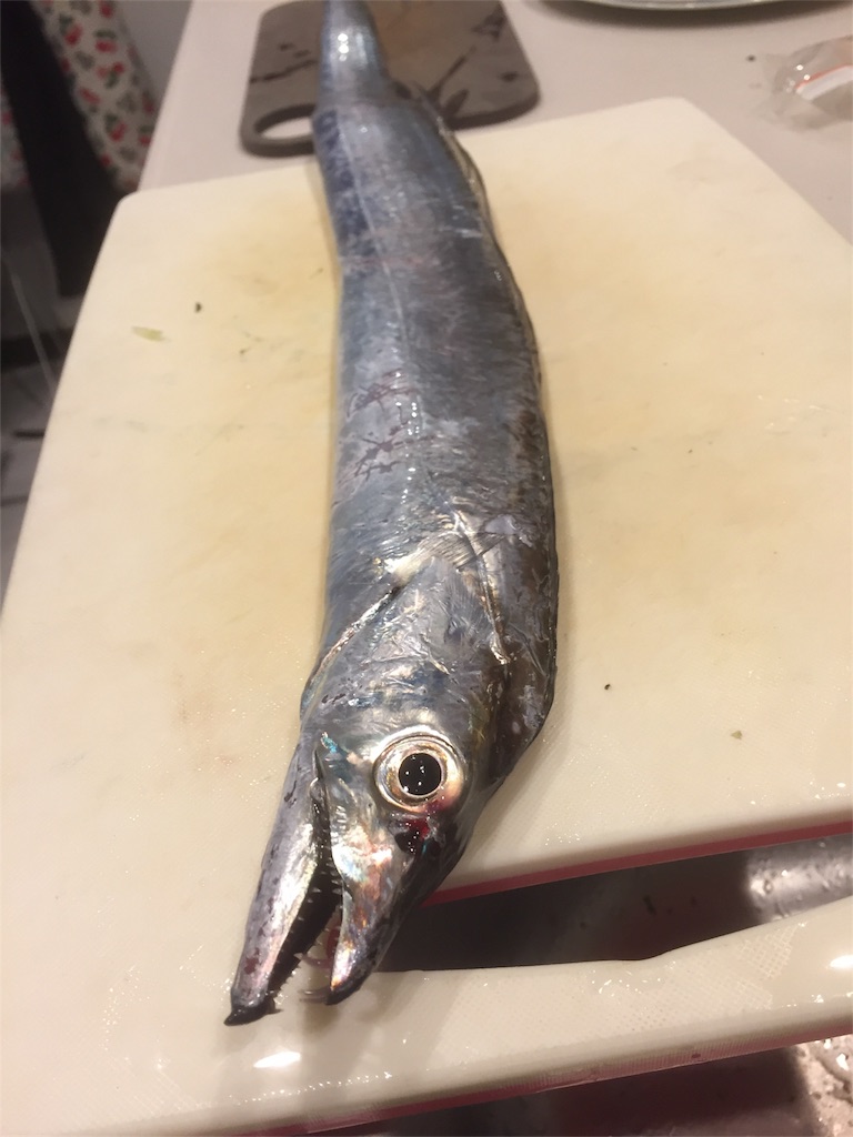 f:id:goodfishing:20190414080821j:image