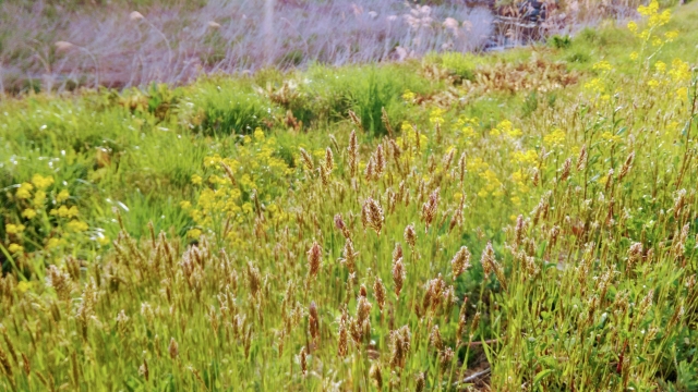 f:id:goodlife99:20190507151340j:plain f:id:goodlife99:20190507151340j:plain