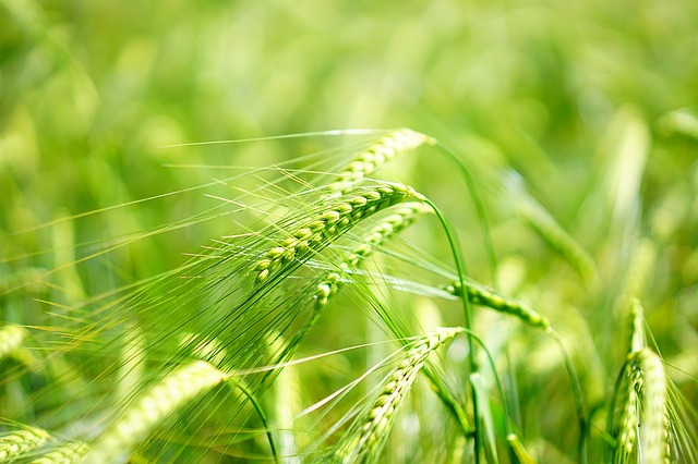 f:id:goodlife99:20190507152417j:plain f:id:goodlife99:20190507152417j:plain