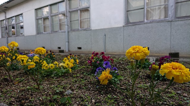 f:id:goodmorningkids:20221209011908j:image