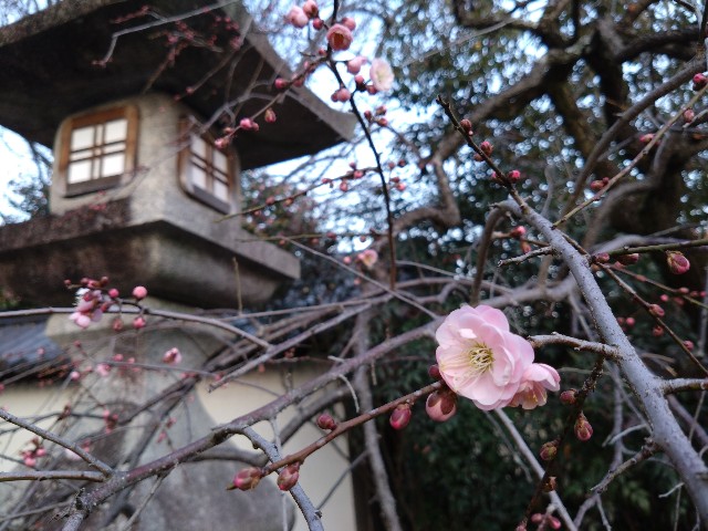f:id:goodmorningkids:20230224030211j:image