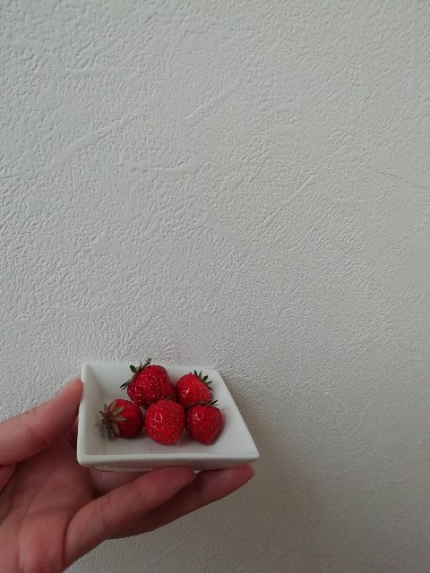 f:id:goodmotion55:20200504073508j:image