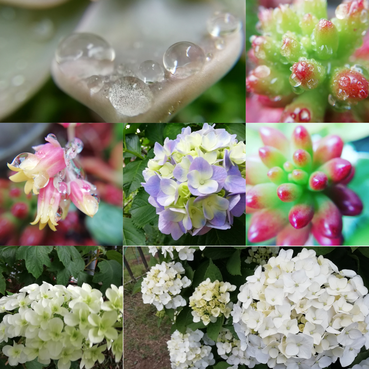 f:id:goodmotion55:20200605233120j:plain