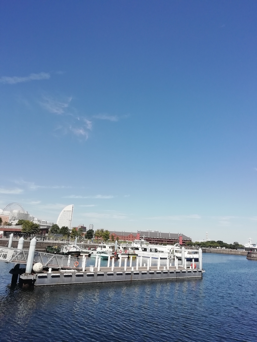 f:id:goodmotion55:20201004125845j:plain