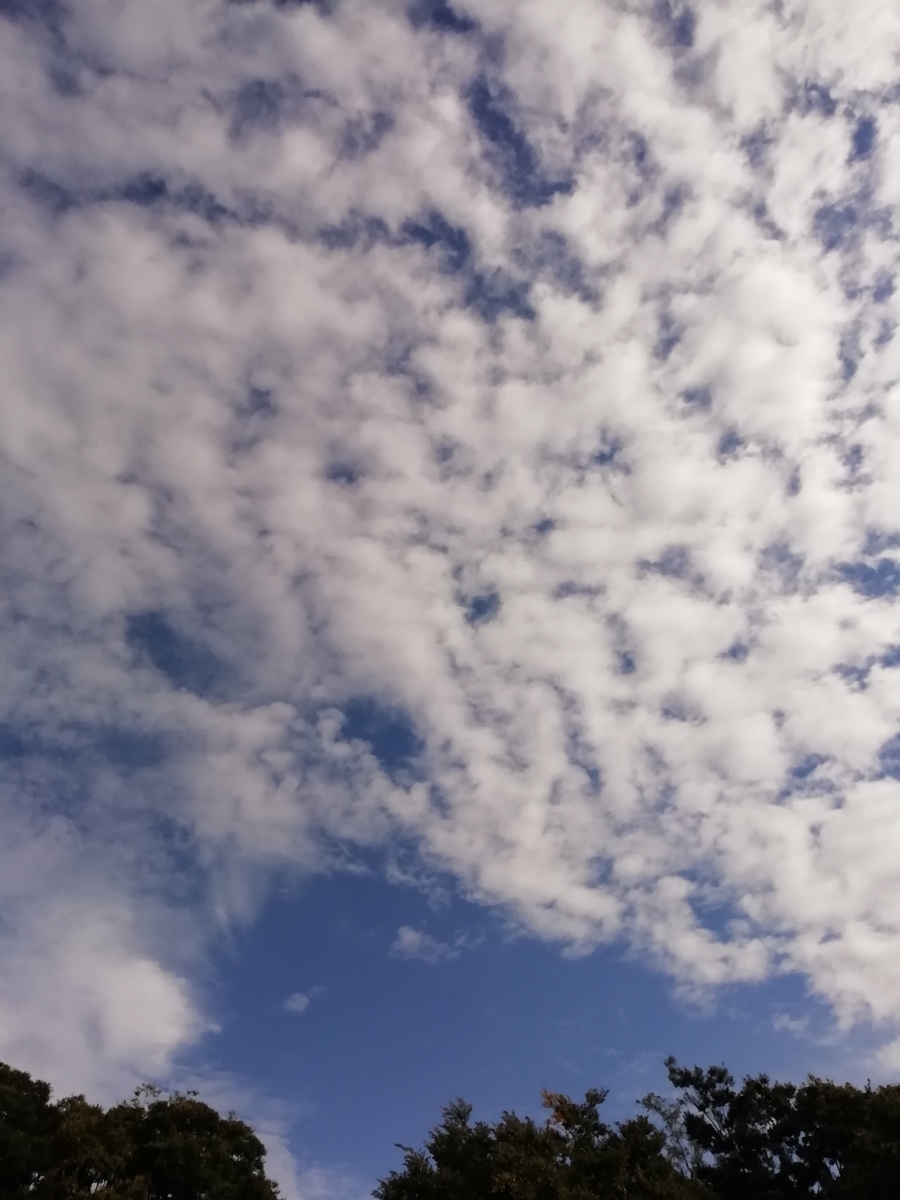 f:id:goodmotion55:20201018201150j:plain f:id:goodmotion55:20201018201150j:plain