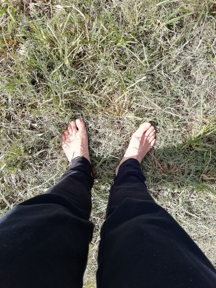 f:id:goodmotion55:20201018201334j:plain f:id:goodmotion55:20201018201334j:plain