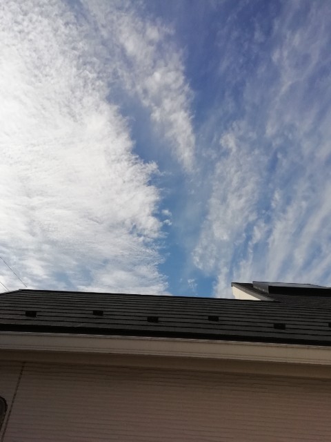 f:id:goodmotion55:20201026234303j:image